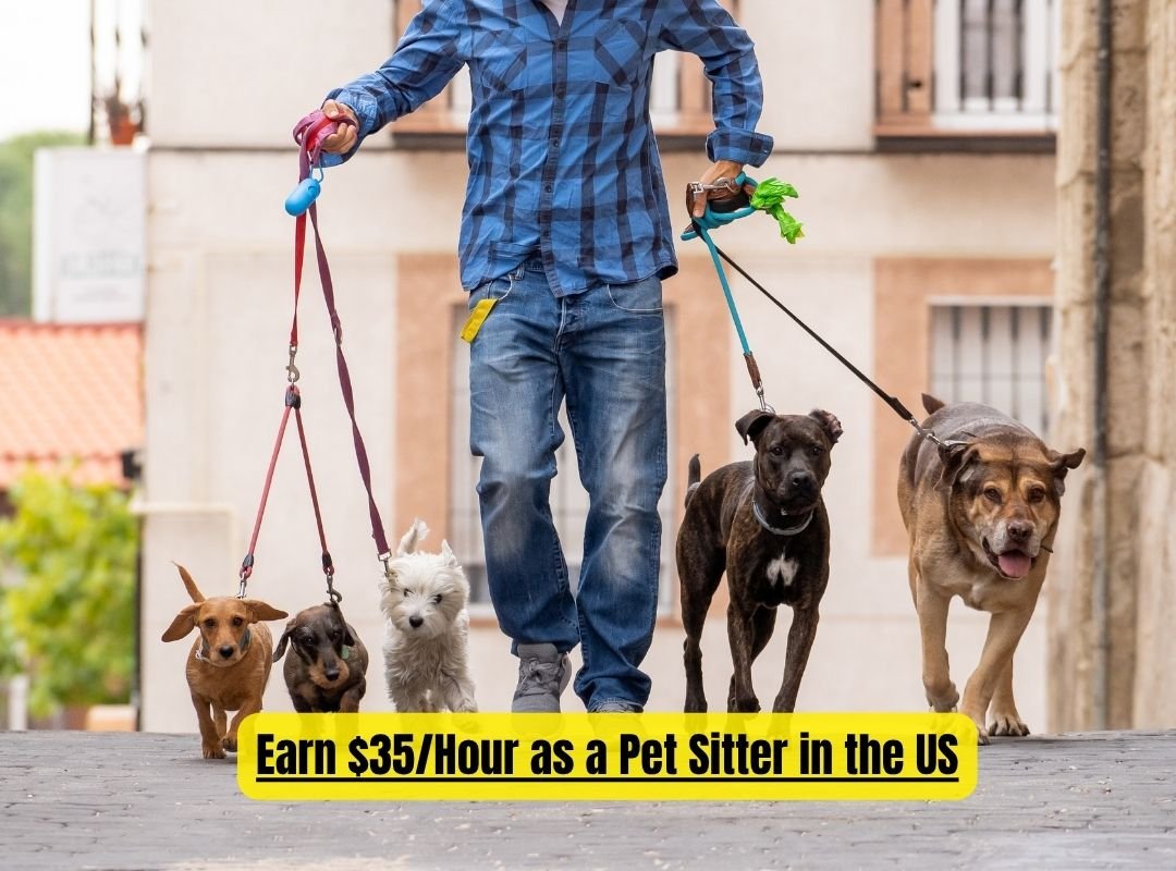 Pet Sitter in the US